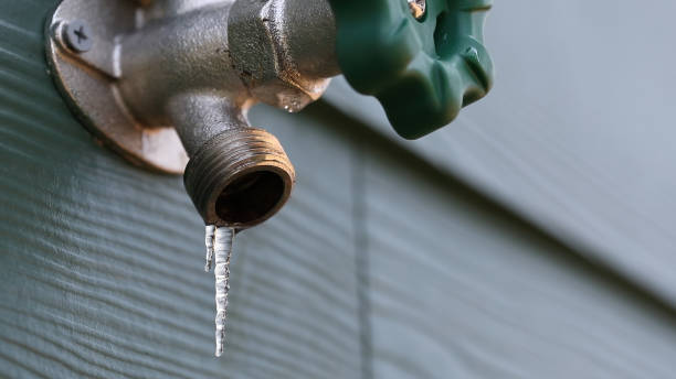 Best Plumbing Inspection Services  in Smith Valley, NV